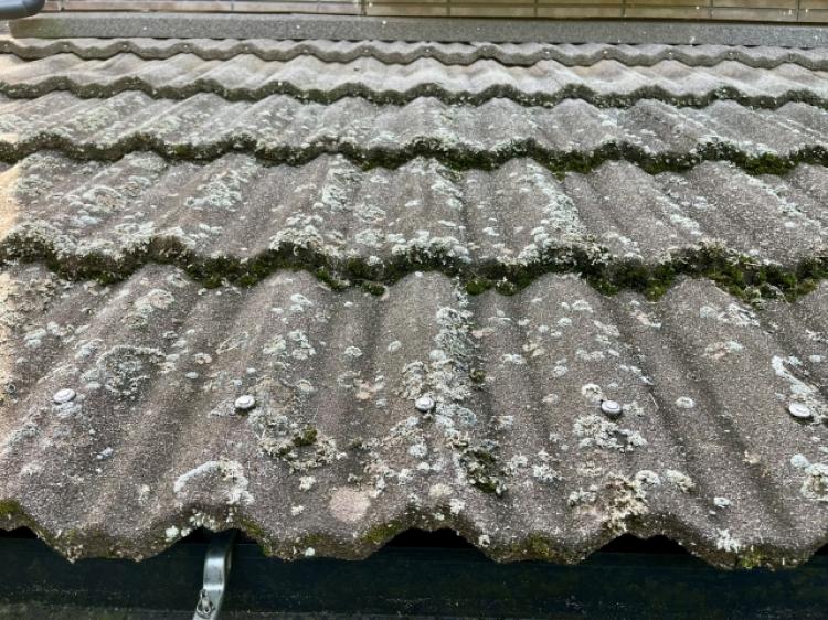 瓦屋根のコケ繁殖例（菊川市）
