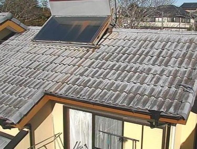 施工前のモニエル瓦（コケ・退色）