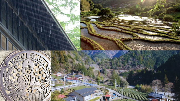 菊川市の雨と湿度が多い気候イメージ