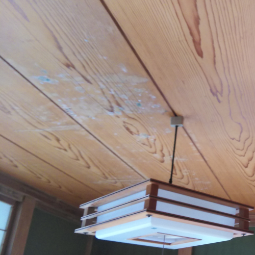 雨漏りによるカビの発生と住宅被害