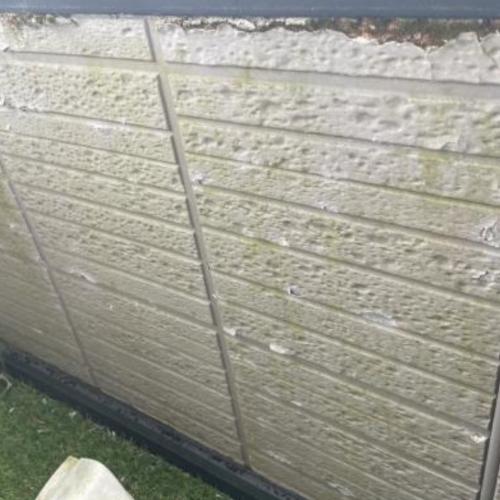 外壁に生えたコケとカビの写真