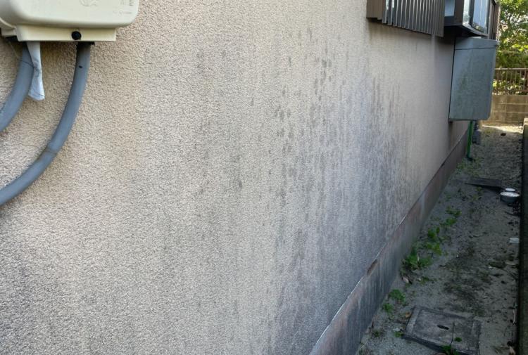 御前崎市住宅の外壁に発生したカビや藻の状態